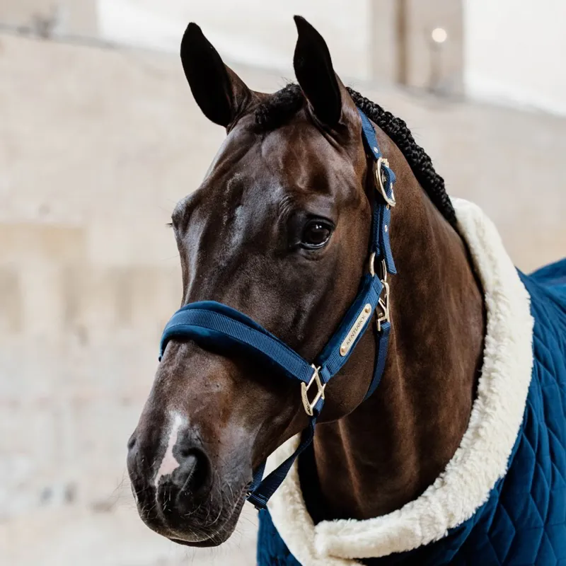 Kentucky Velvet Halter - Navy-3