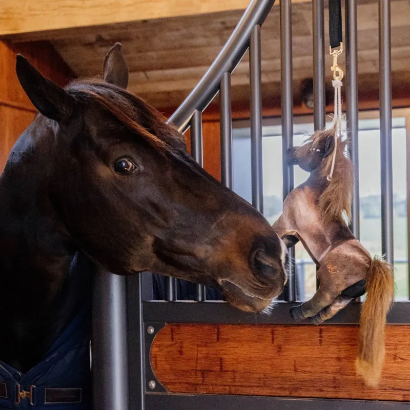 Kentucky Relax Horse Toy - Tobi-1