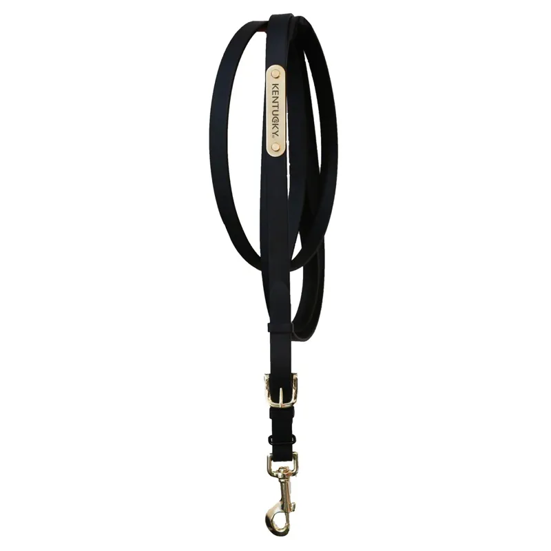 Kentucky Soft Rubber Presentation Lead - Black