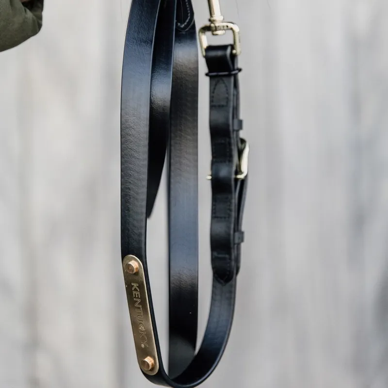 Kentucky Soft Rubber Presentation Lead - Black-1