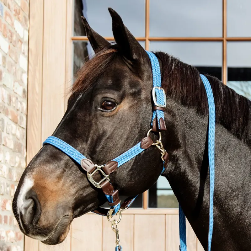 Kentucky Braided Nylon Halter - Light Blue