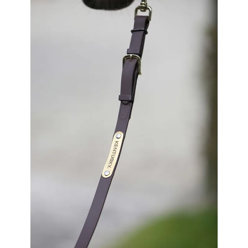 Kentucky Soft Rubber Presentation Lead - Brown-1