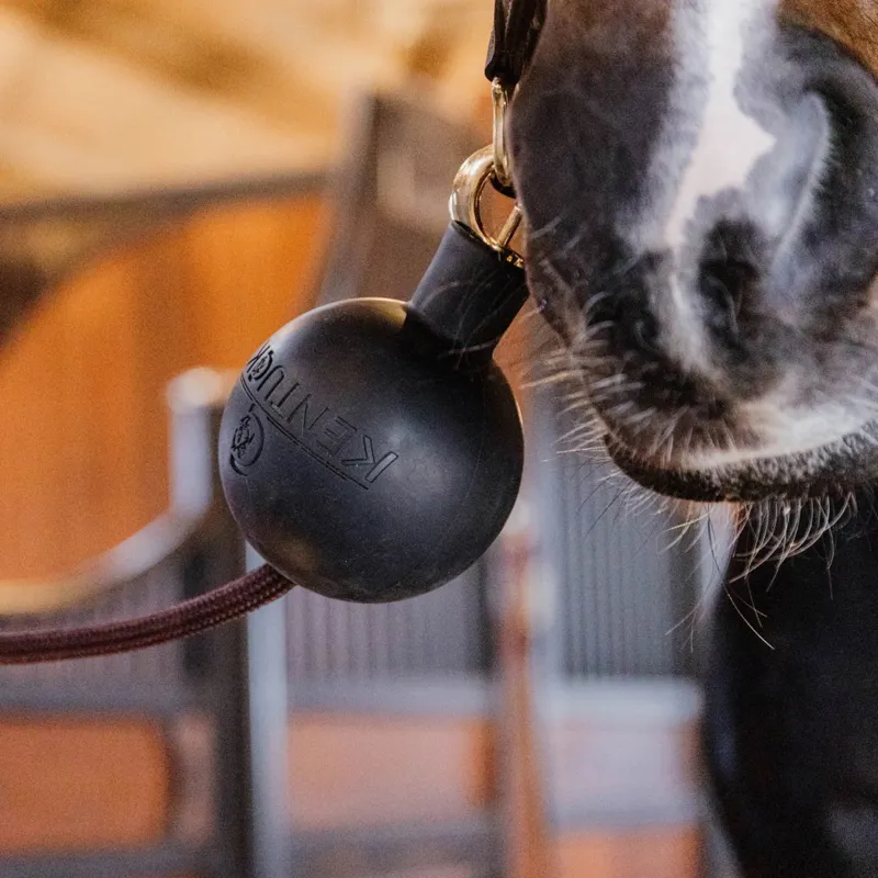 Kentucky Lead Rope Clip Protection Ball - Black-1