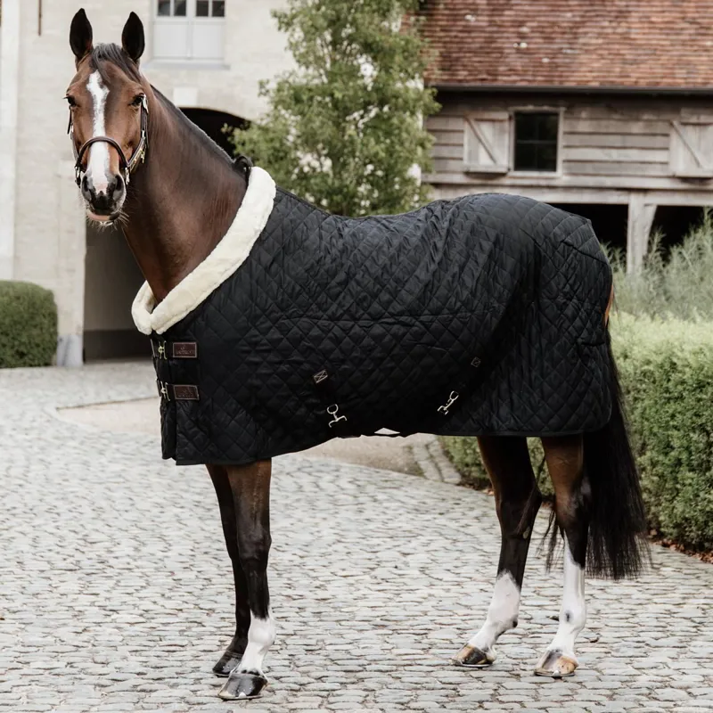 Kentucky 160g Show Blanket - Black