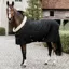 Kentucky 160g Show Blanket - Black