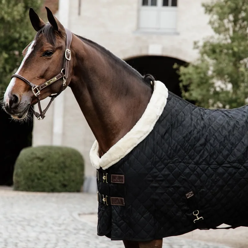 Kentucky 160g Show Blanket - Black-1
