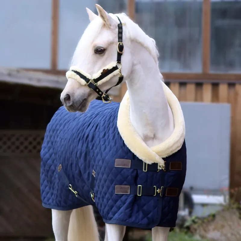 Kentucky 160g Show Blanket - Navy-3