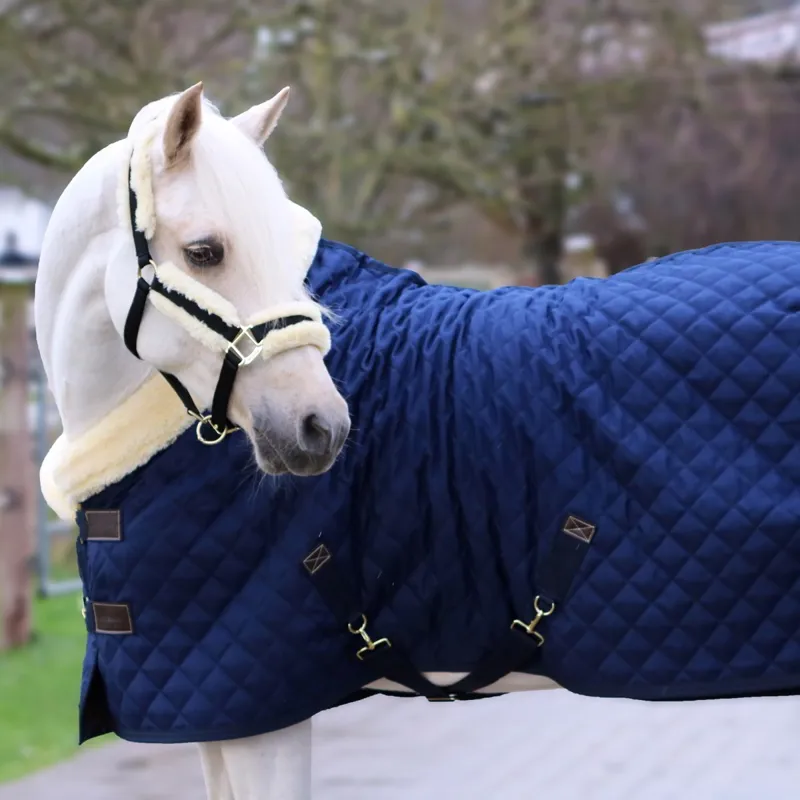 Kentucky 160g Show Blanket - Navy-4