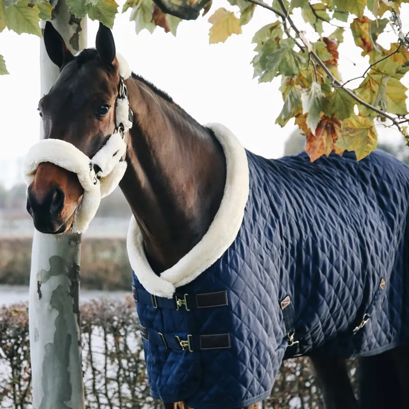 Kentucky 160g Show Blanket - Navy-5