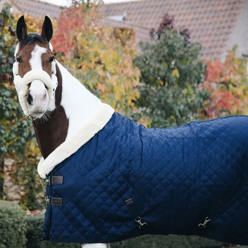 Kentucky 160g Show Blanket - Navy-6