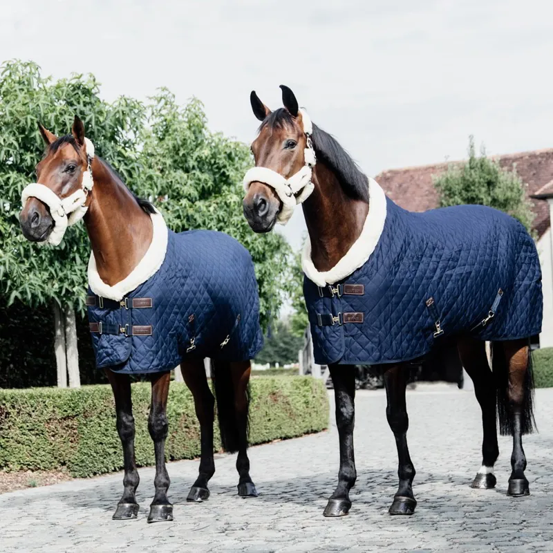 Kentucky 160g Show Blanket - Navy-7