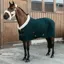 Kentucky 160g Stable Blanket - Pine Green