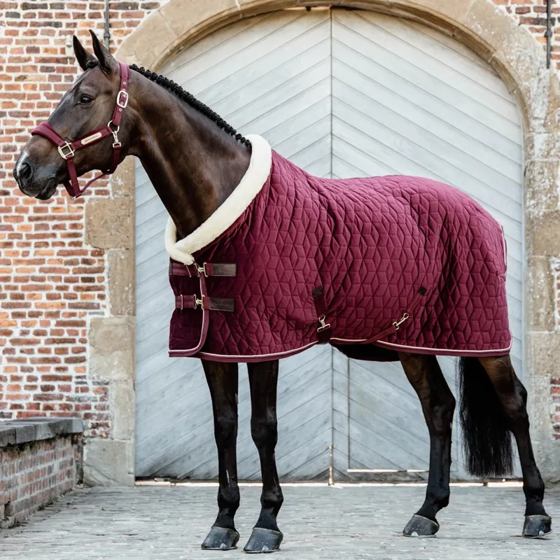 Kentucky Velvet Show Blanket - Bordeaux