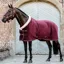 Kentucky Velvet Show Blanket - Bordeaux