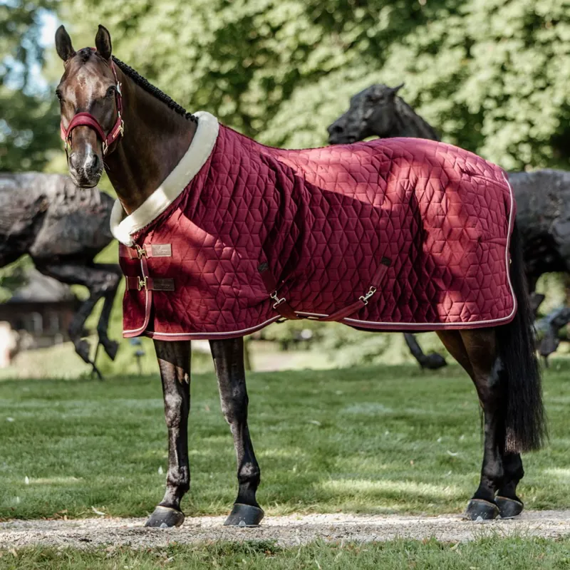 Kentucky Velvet Show Blanket - Bordeaux-1