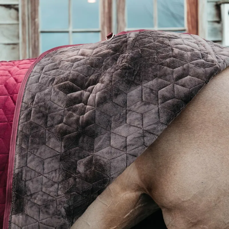 Kentucky Velvet Show Blanket - Bordeaux-3