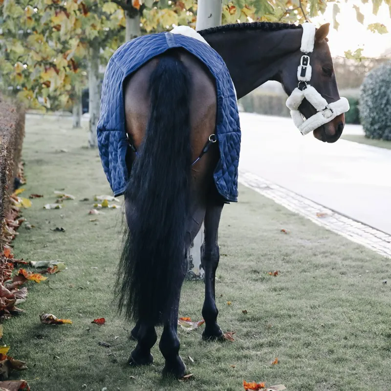 Kentucky 400g Standard Neck Stable Blanket - Navy-1
