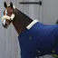 Kentucky 400g Standard Neck Stable Blanket - Navy