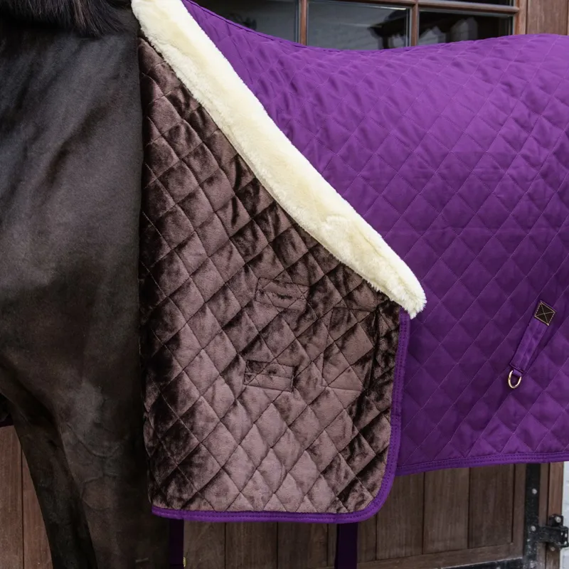 Kentucky 160g Show Rug - Royal Purple-4