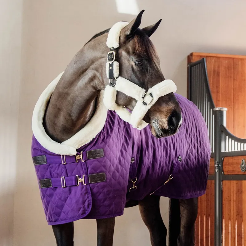 Kentucky 160g Show Rug - Royal Purple-5