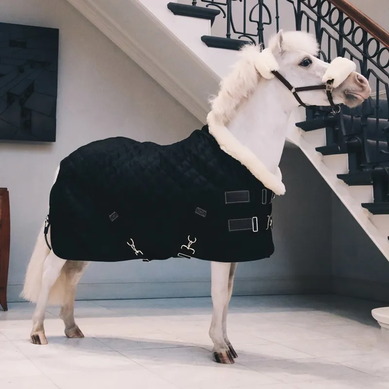 Kentucky 160g Tiny Show Rug - Black