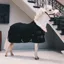 Kentucky 160g Tiny Show Rug - Black