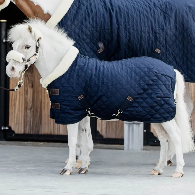 Kentucky 160g Tiny Show Blanket - Navy-1