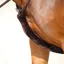 Kentucky Artificial Sheepskin Breastplate Cover - Brown