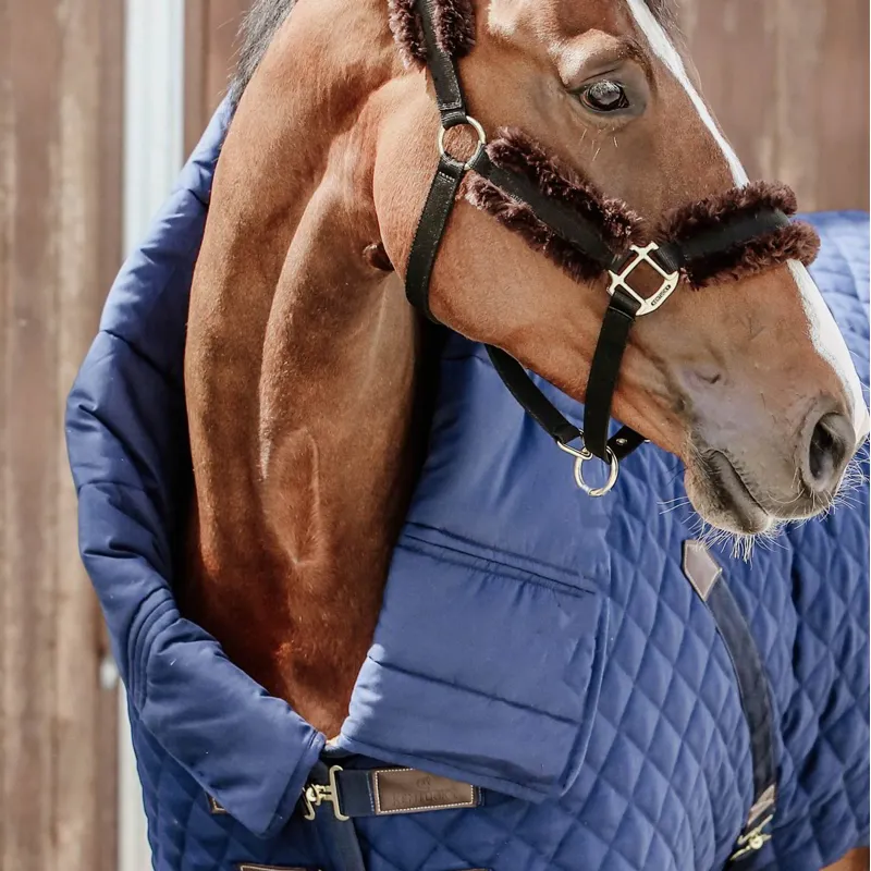 Kentucky 300g Horse Duvet Stable Blanket - Navy-2