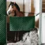 Kentucky Stall Guard - Dark Green