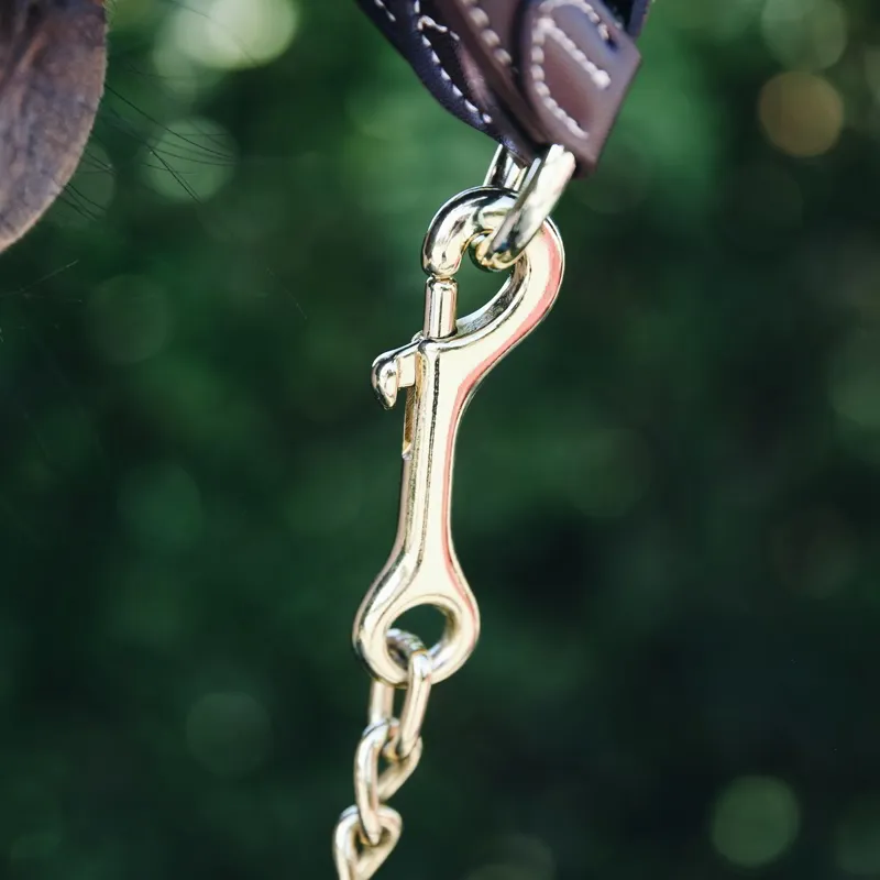Kentucky Stallion Chain - Gold-1