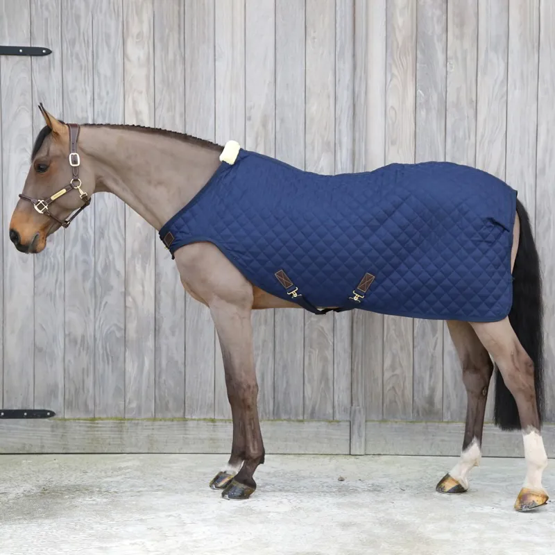 Kentucky 160g Walker Blanket - Navy