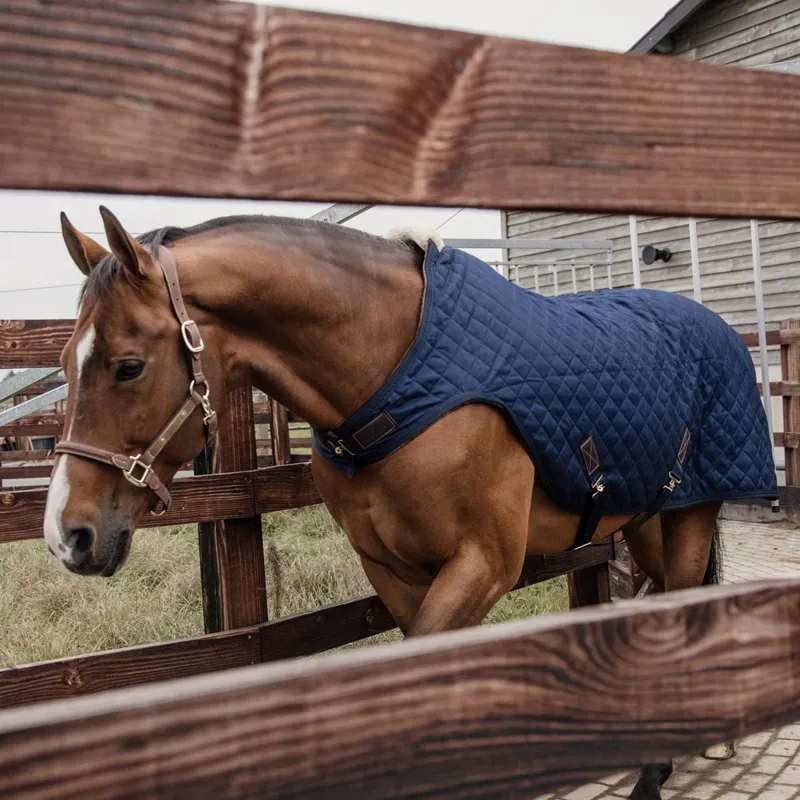 Kentucky 160g Walker Blanket - Navy-2