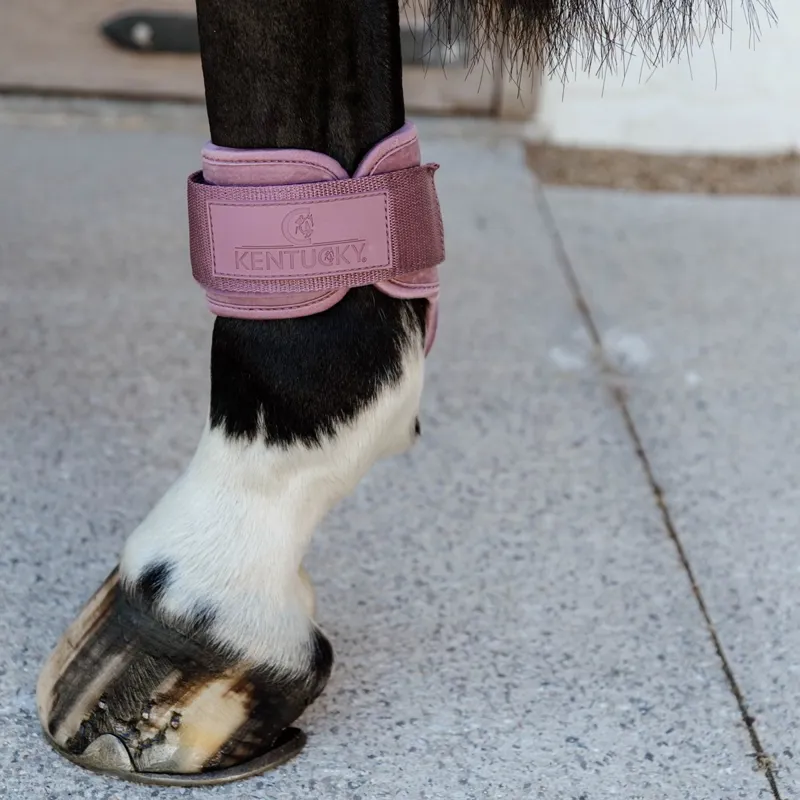 Kentucky Velvet Young Horse Fetlock Boots - Old Rose-1