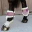 Kentucky Velvet Young Horse Vegan Sheepskin Fetlock Boots - Old Rose