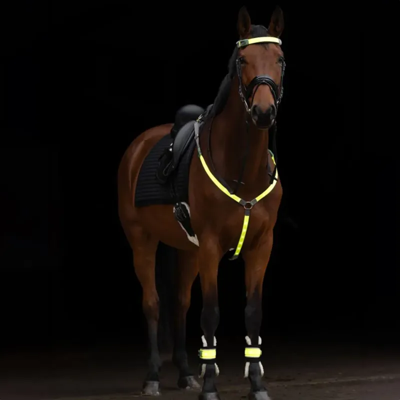 Kerbl Illuminated LED High Visibility Leg Bands - Yellow-4