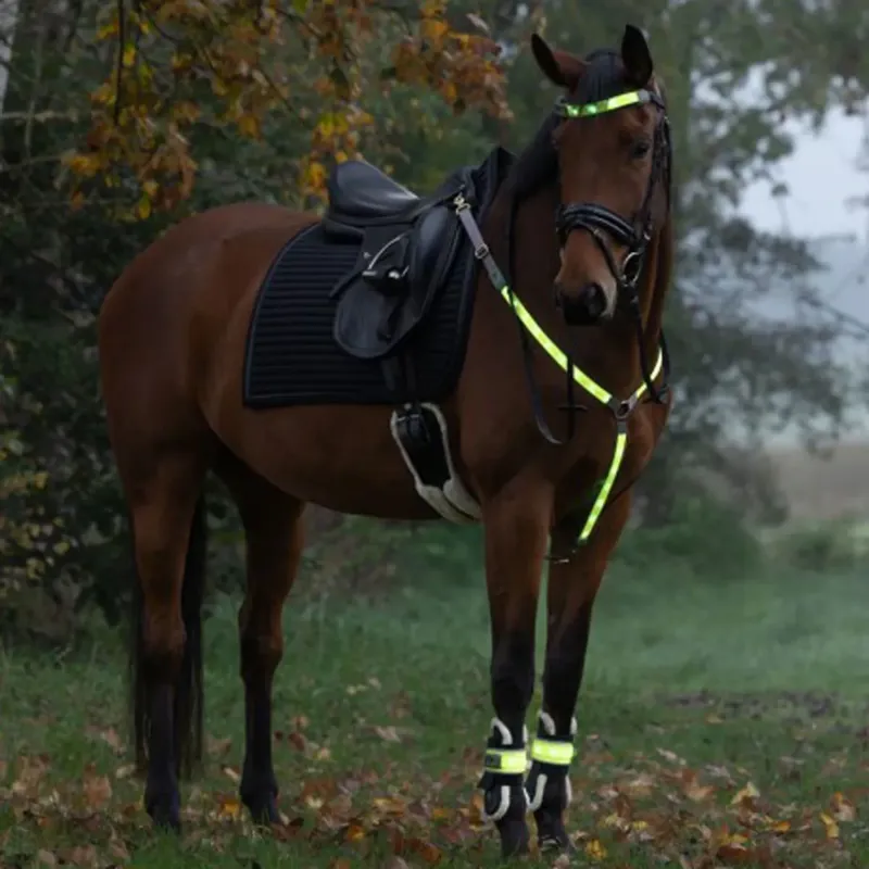 Kerbl Illuminated LED High Visibility Leg Bands - Yellow-5
