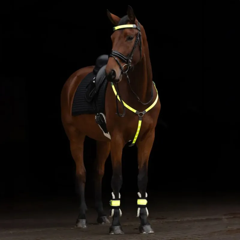 Kerbl Illuminated LED High Visibility Leg Bands - Yellow-6