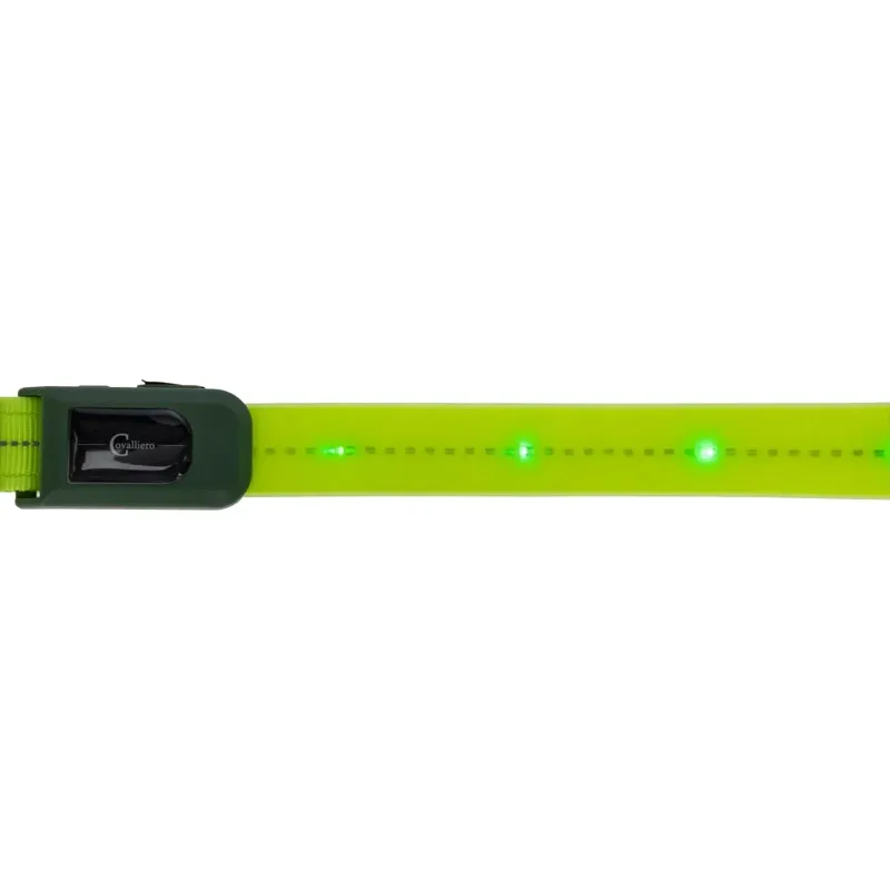 Kerbl LED Hi-Vis Browband Head Strap - Yellow-2