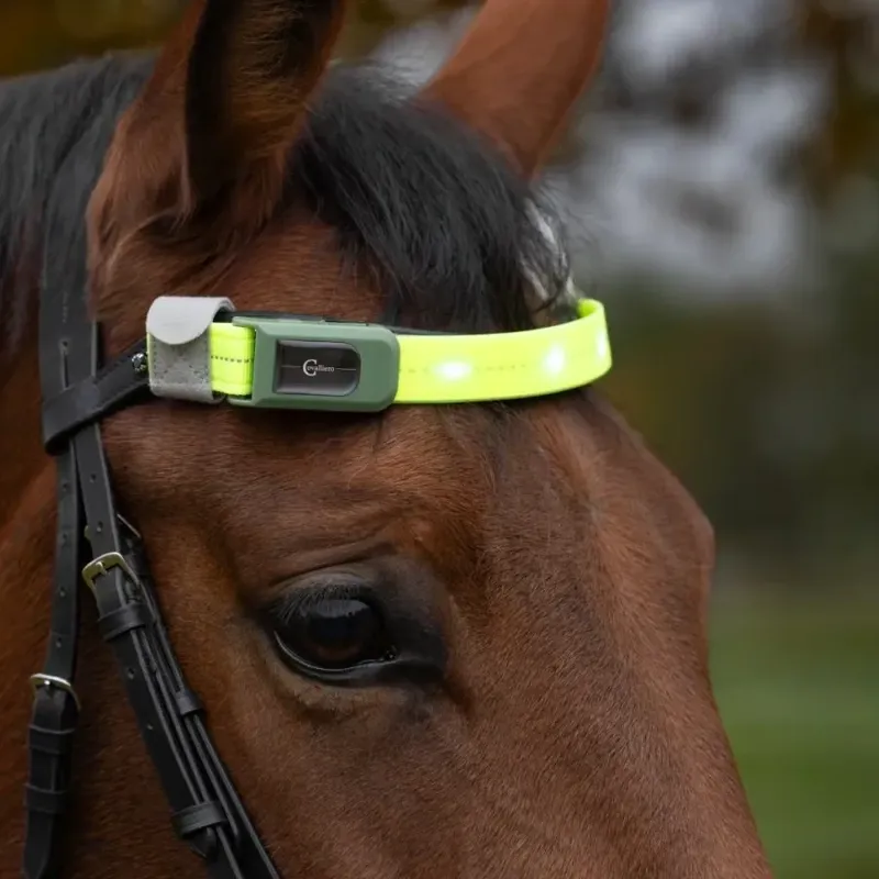 Kerbl LED Hi-Vis Browband Head Strap - Yellow-3