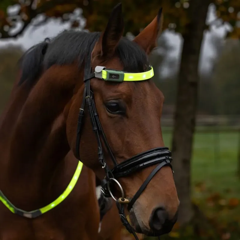 Kerbl LED Hi-Vis Browband Head Strap - Yellow