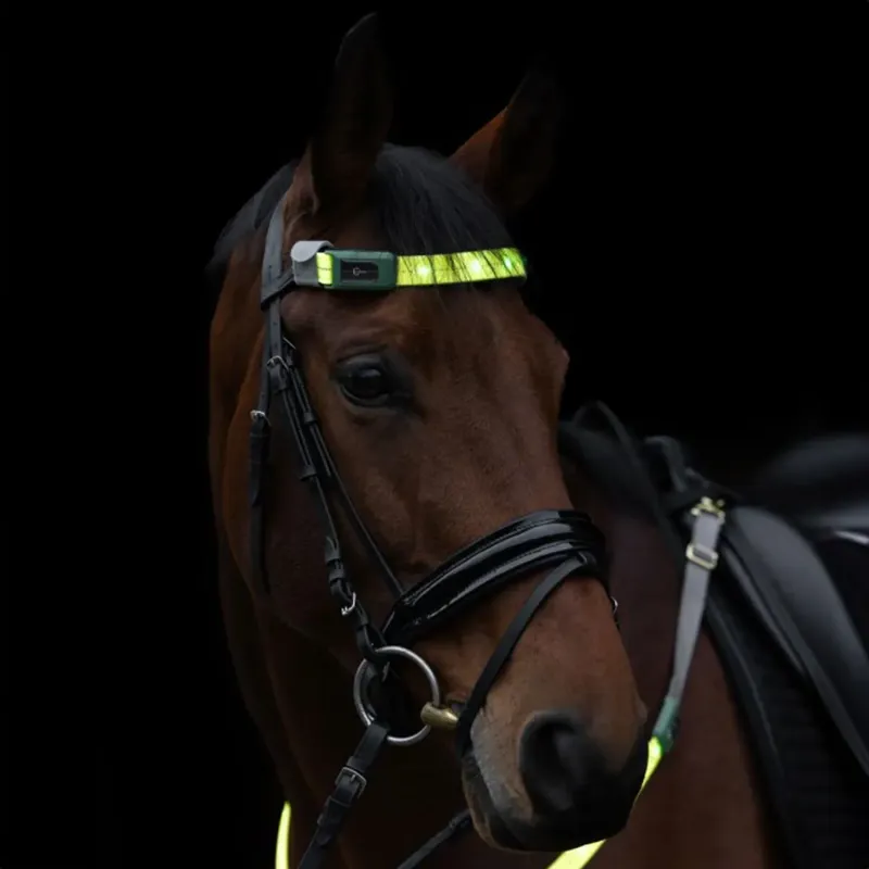 Kerbl LED Hi-Vis Browband Head Strap - Yellow-5