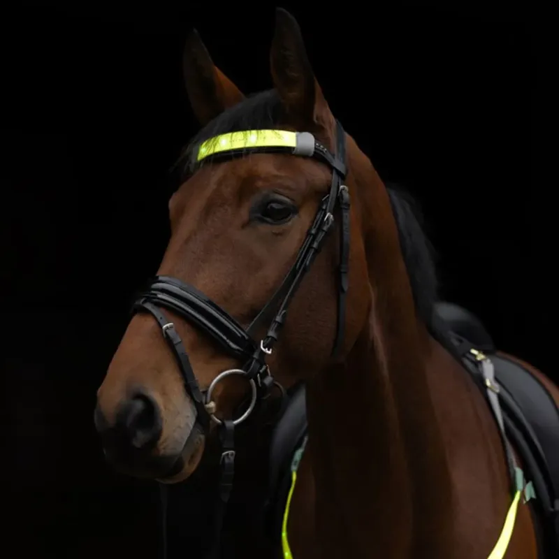Kerbl LED Hi-Vis Browband Head Strap - Yellow-7