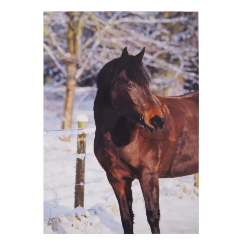 Kevin Milner Christmas Card - Bay Horse-1