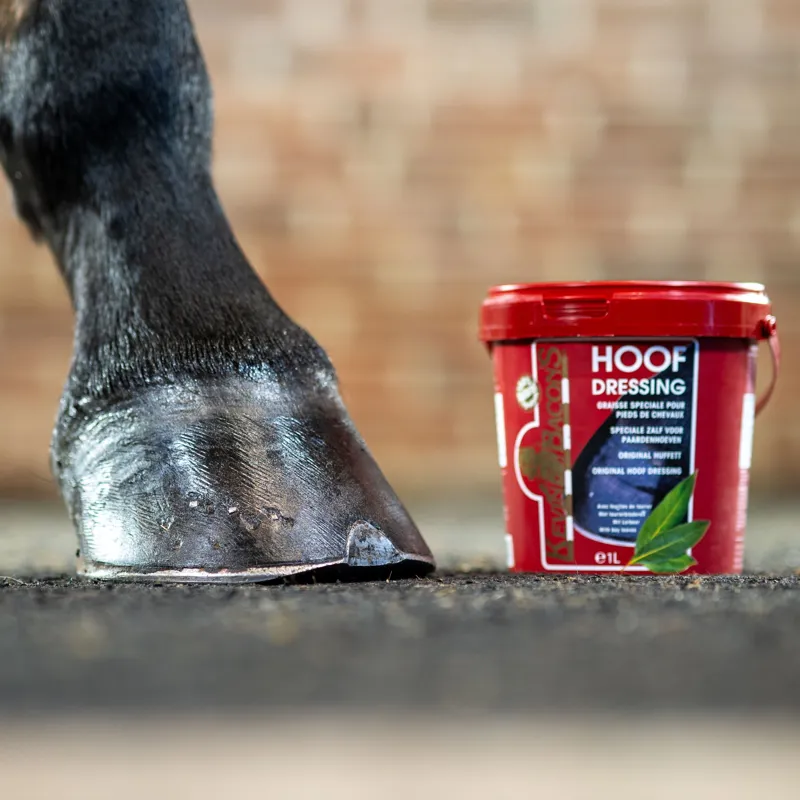 Kevin Bacon's Hoof Dressing - Ash/Black-1