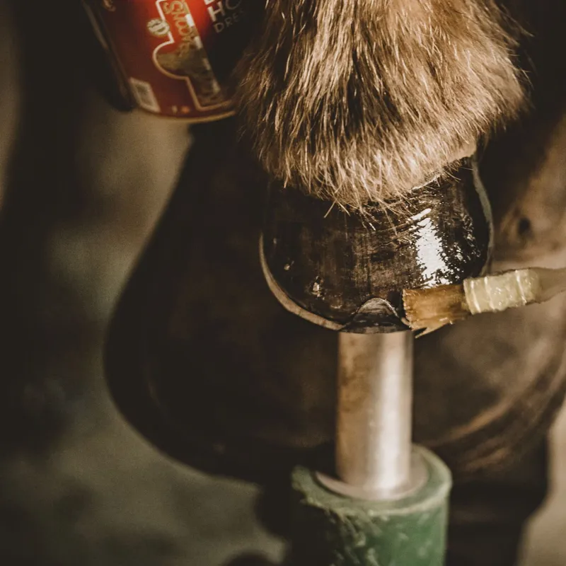 Kevin Bacon Liquid Hoof Dressing-5