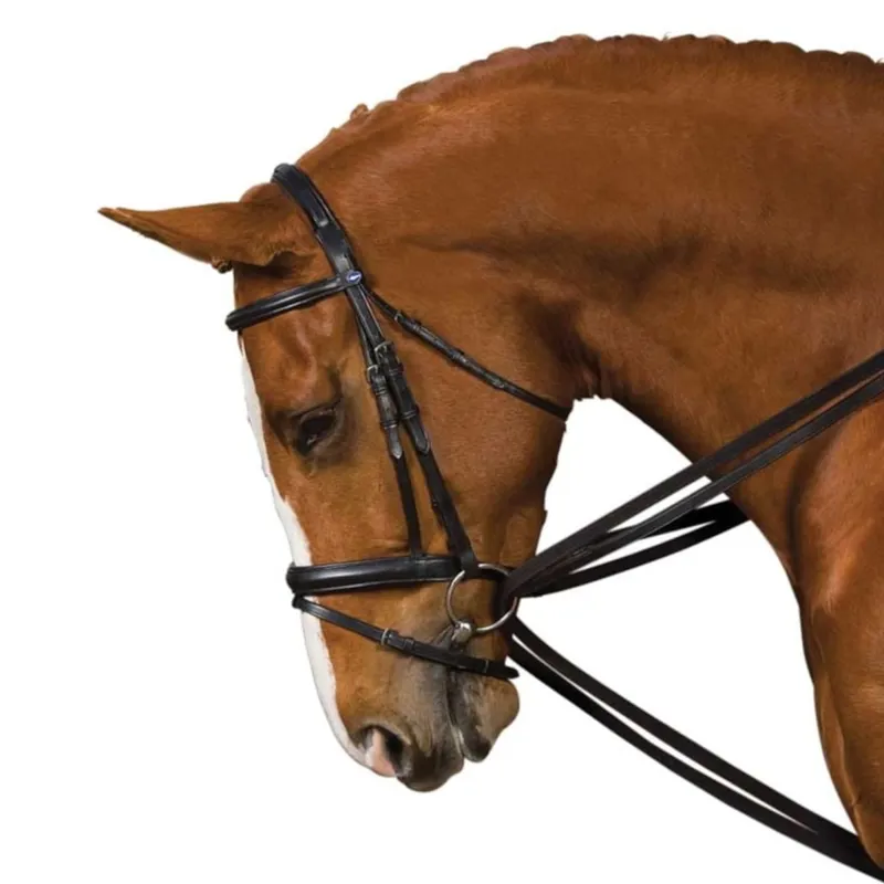 Kincade Web Draw Reins - Black-1