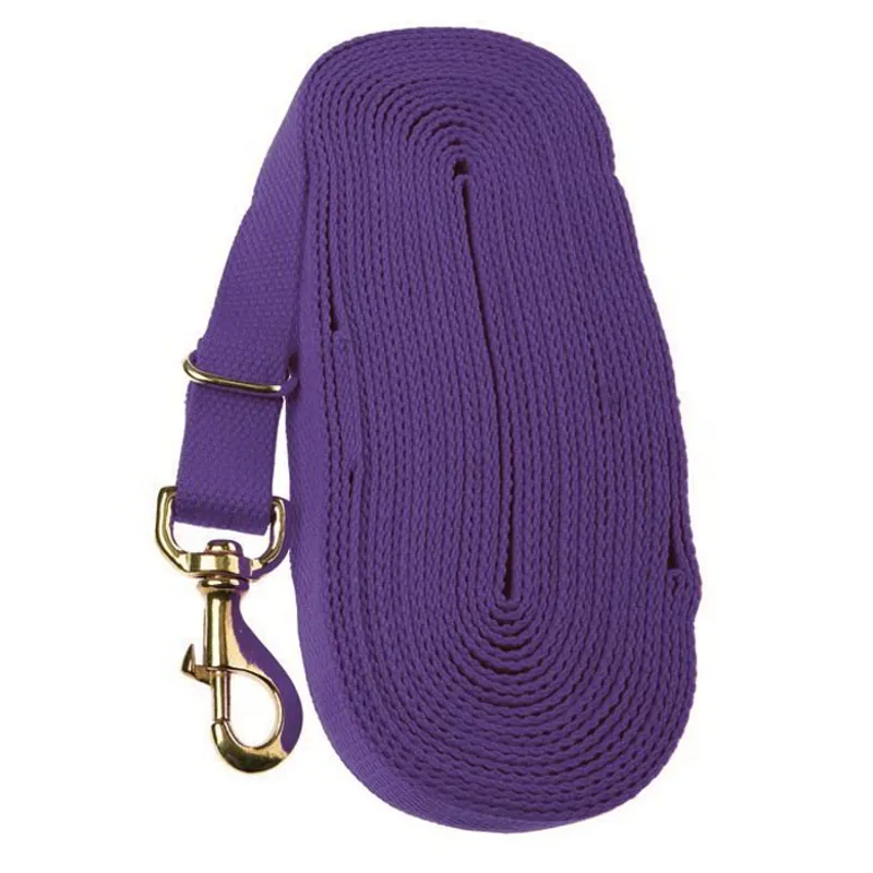 Kincade Lunge Line - Purple-1