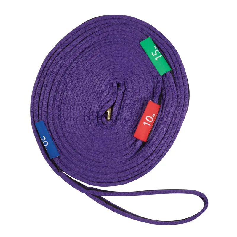 Kincade Two Tone Lunge Line with Circle Markers-Purple/Black