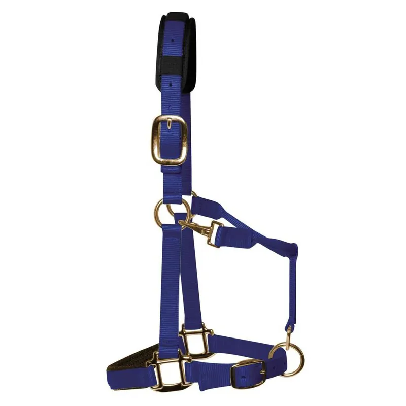 KM Elite Luxury Padded Halter - Royal Blue